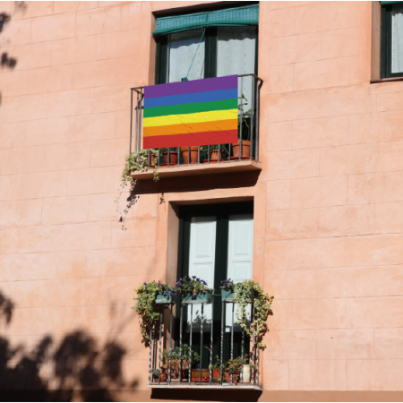 Domàs LGTBI