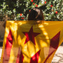 Estelada roja gran