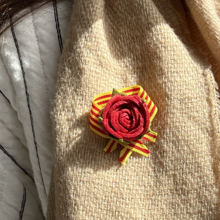 Pin Rosa de feltre